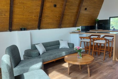 کلبه سوئیسی جکوزی دار در جنگل دالخانی - لتر