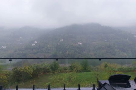 کلبه سوئیسی جکوزی دار در جنگل دالخانی - لتر