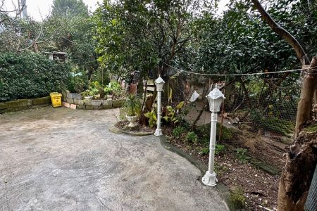 سوئیت مبله در رامسر - سفید تمشک - همکف