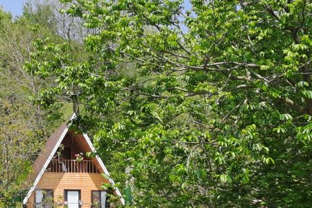 کلبه سوئیسی در ماسال - مرکیه