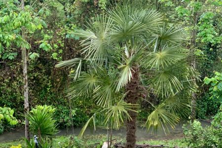 خانه روستایی دوطبقه در نشتارود - کنسکوه