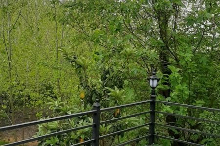 کلبه چوبی در آستانه اشرفیه - داخل بالا