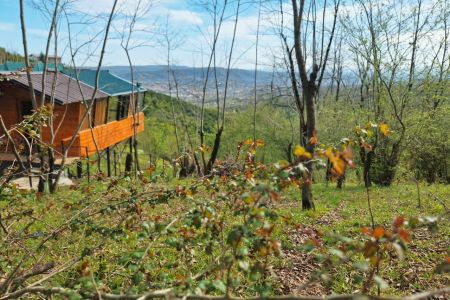 کلبه با سقف شیشه ای در بابلکنار - درازکلا