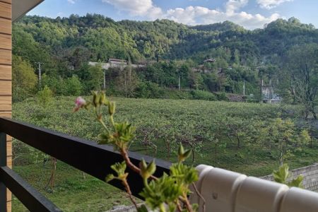 ویلا در جاده اسالم - خرجگیل