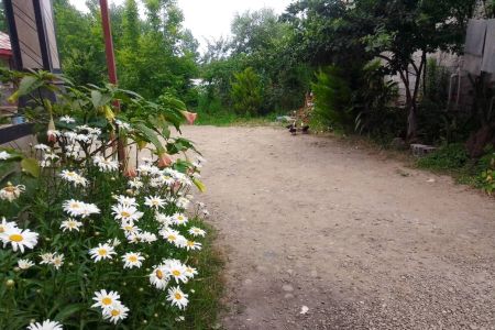 خانه ویلایی استخردار در اسالم - خاله سرای ۵۷