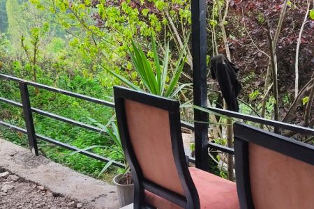 سوئیت مبله در رامسر - لرسانور - همکف