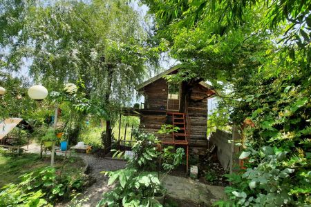 خانه چوبی با کلبه درختی در زیرآب - سرخکلاتپه