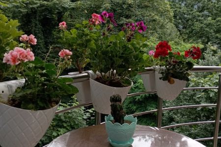 ویلا دوبلکس در ماسال - نسا