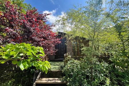 کلبه جنگلی در لاهیجان - سوخته کوه