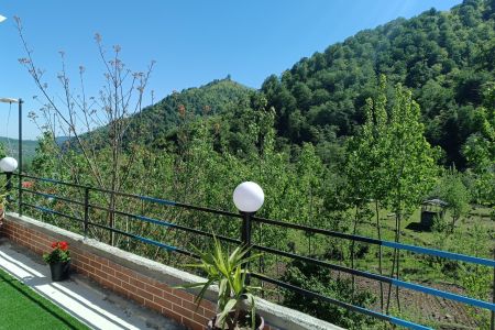 کلبه چوبی با ویو جنگلی در شاهکلا لفور - ط۳