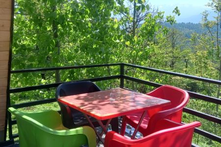 کلبه جنگلی با معماری سوئیسی در لفور - افراسی