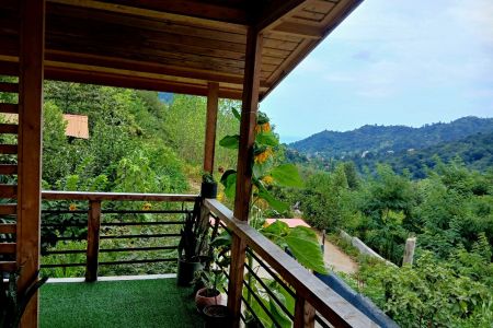 کلبه جنگلی تراس دار در رامسر  - جاده جواهرده