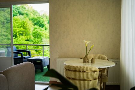 خانه با جکوزی در اربه کله - سرلیماک