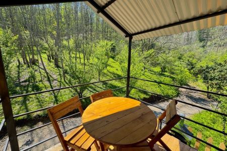 کلبه با چشم انداز جنگل در بابلکنار - کاردرکلا