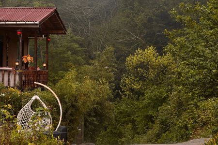 ویلا با استخر کوچک و ویو جنگل در اربه کله