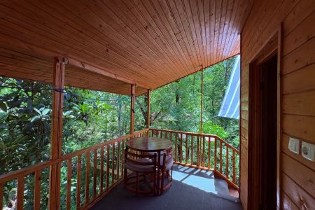 اجاره کلبه چوبی در ماسال - جاده ییلاق