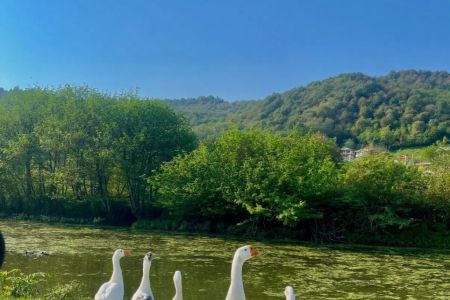 کلبه چوبی در ماسال - کیشه خانی