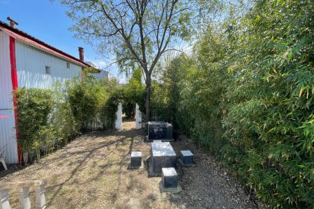 ویلا استخردار پنج خوابه نزدیک ساحل شیرود