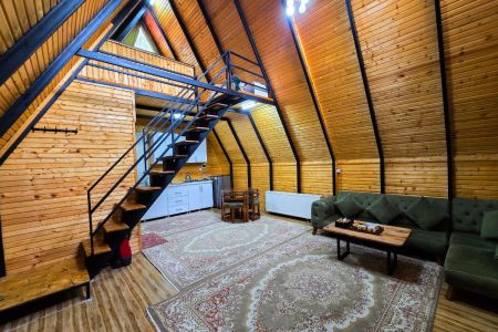 کلبه سوئیسی جنگلی در لاهیجان - زمیدان