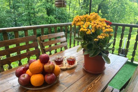 کلبه جنگلی با نمای بامبو در حومه لاهیجان
