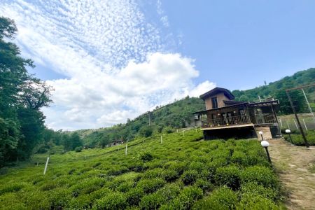 کلبه جنگلی با نمای بامبو در حومه لاهیجان