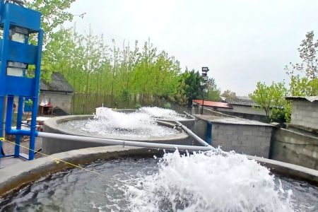 کلبه سوئیسی در اسالم - لمرسفلی