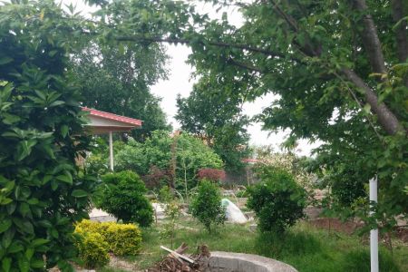 سوئیت با حیاط دلباز در سنگر - دلچه