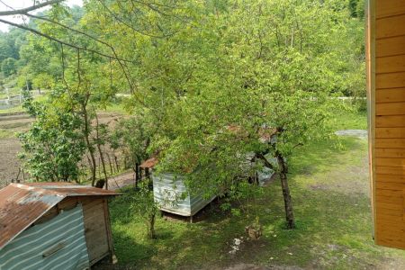 ویلا با نمای چوبی در شاندرمن -طالب دره