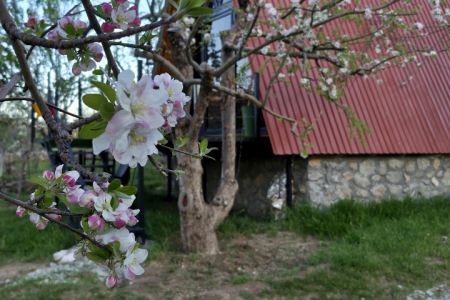 کلبه سوئیسی در سمیرم - مهرگرد