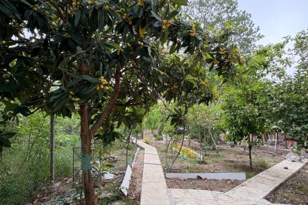 خانه ویلایی در کیاشهر