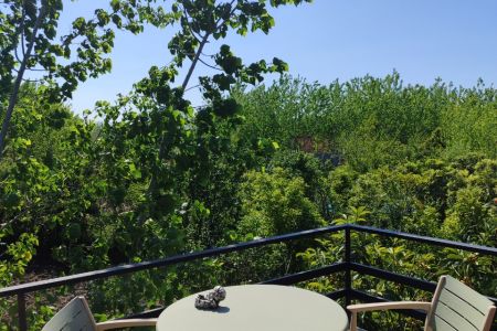 کلبه سوئیسی در رودبنه - امامده