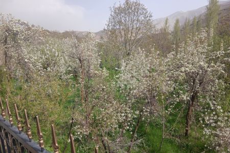 خانه ویلایی در امامه بالا فشم
