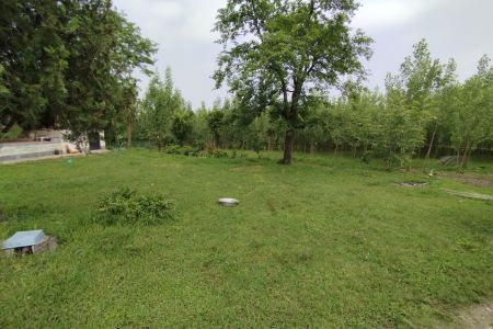 کلبه چوبی در نیلاش شاندرمن