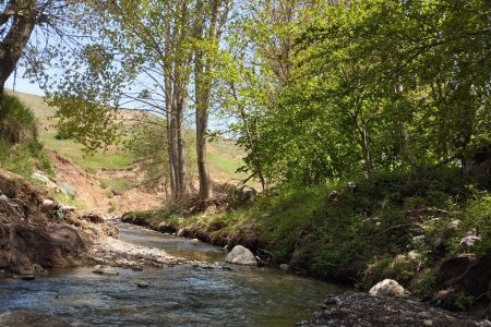 کلبه سوئیسی در دیلمان - آسیابر