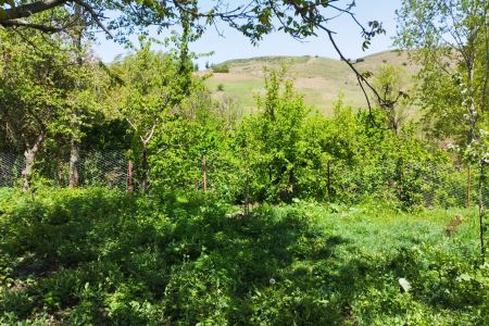 کلبه سوئیسی در دیلمان - آسیابر