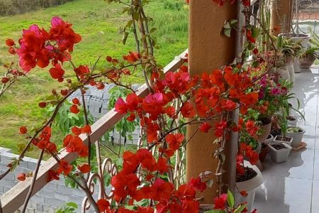 ویلا دوبلکس رو به جنگل در ایزدشهر