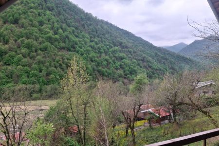 کلبه چوبی جنگلی در ماسال - گنذر