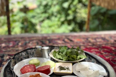 بومگردی در نیشابور - بوژان - شقایق