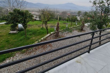 کلبه سوئیسی در شیرگاه - کلیج خیل
