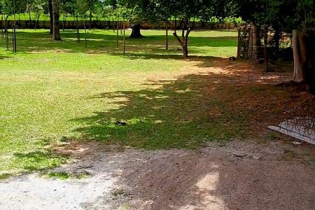 سوئیت حیاط دار در سنگر - سروندان