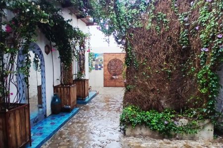 بوم گردی در جزیره هنگام جدید - واحد ۱