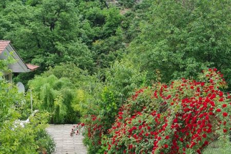 ویلا استخردار در کجور - ناصرآباد