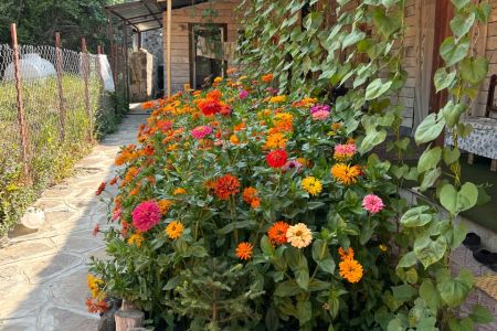 سوئیت در مهدی شهر - شلی