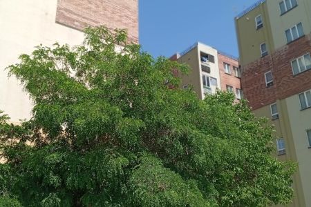 آپارتمان مبله در محمدیه - مهرگان - طبقه ۲