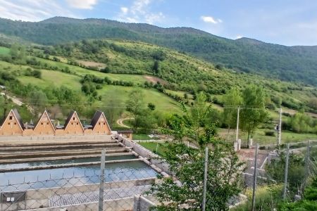 کلبه سوئیسی کنار استخر ماهی در نکا - ارم - ۱