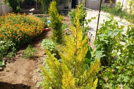 ویلا استخردار در چهارباغ - ملک آباد