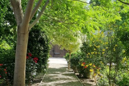 سوئیت حیاط دار در شهریار