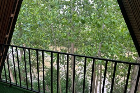 کلبه سوئیسی کنار رود سیاهدرویشان - تولم‌شهر