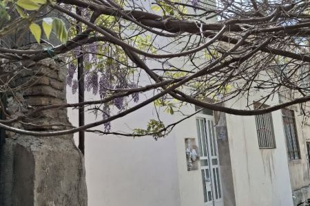 سوئیت مبله در آبعلی دماوند - سرپولک