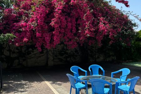 خانه ویلایی در فریدونکنار - پلاک اول ساحل